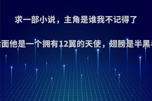 求一部小说，主角是谁我不记得了，到后面他是一个拥有12翼的天使，翅膀是半黑半白的?