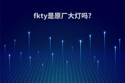 fkty是原厂大灯吗?