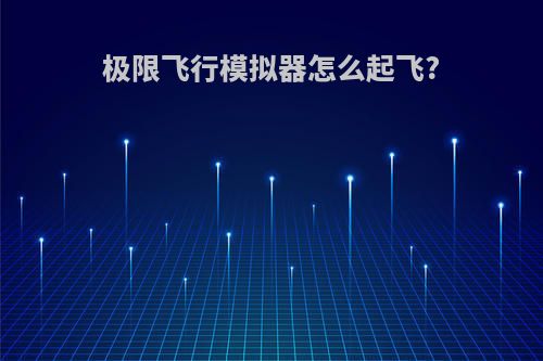 极限飞行模拟器怎么起飞?