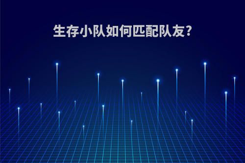 生存小队如何匹配队友?