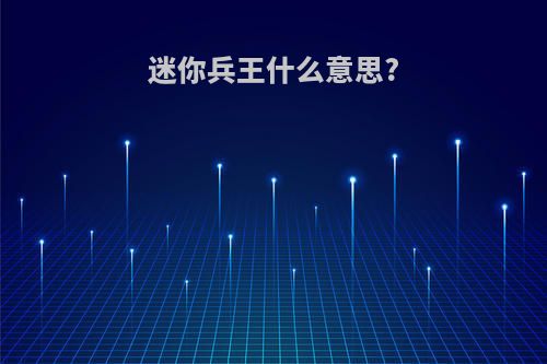 迷你兵王什么意思?