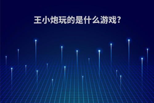 王小炮玩的是什么游戏?