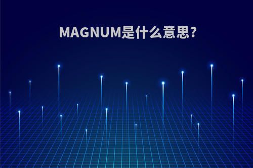 MAGNUM是什么意思?