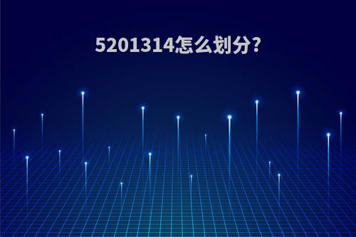 5201314怎么划分?