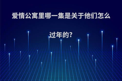 爱情公寓里哪一集是关于他们怎么过年的?