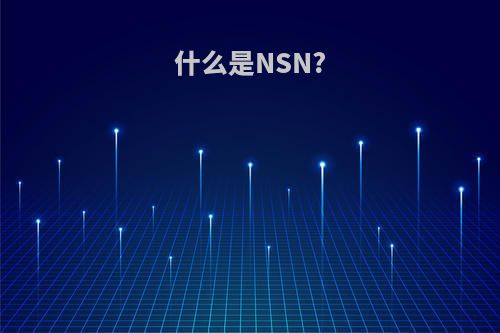 什么是NSN?