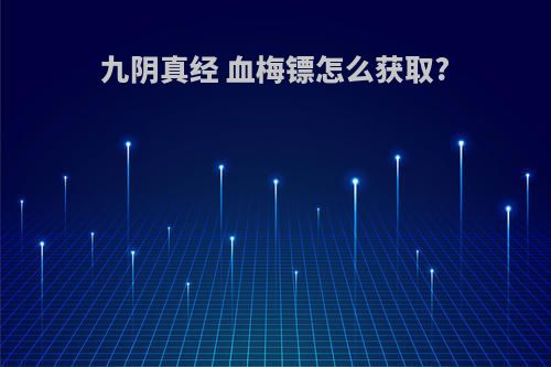 九阴真经 血梅镖怎么获取?