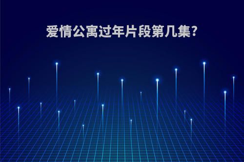 爱情公寓过年片段第几集?