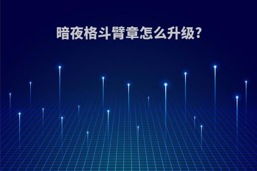 暗夜格斗臂章怎么升级?