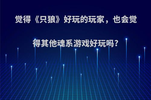 觉得《只狼》好玩的玩家，也会觉得其他魂系游戏好玩吗?