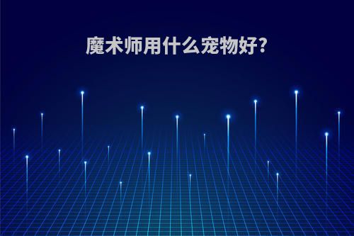 魔术师用什么宠物好?