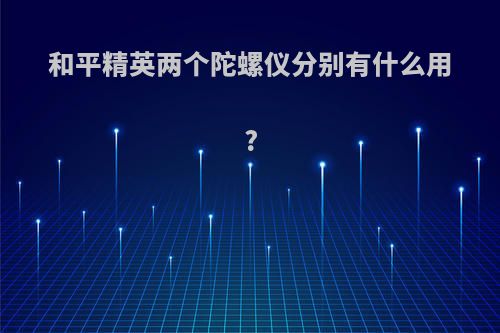 和平精英两个陀螺仪分别有什么用?