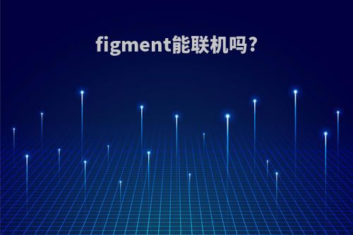 figment能联机吗?