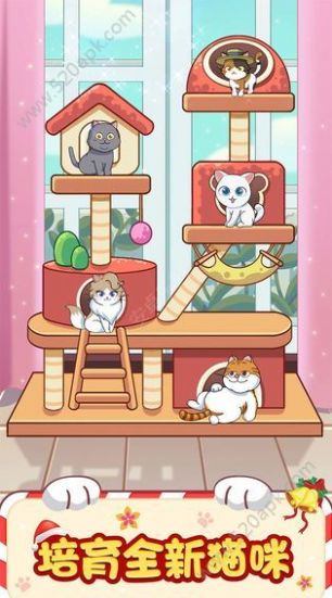 猫喵的小屋